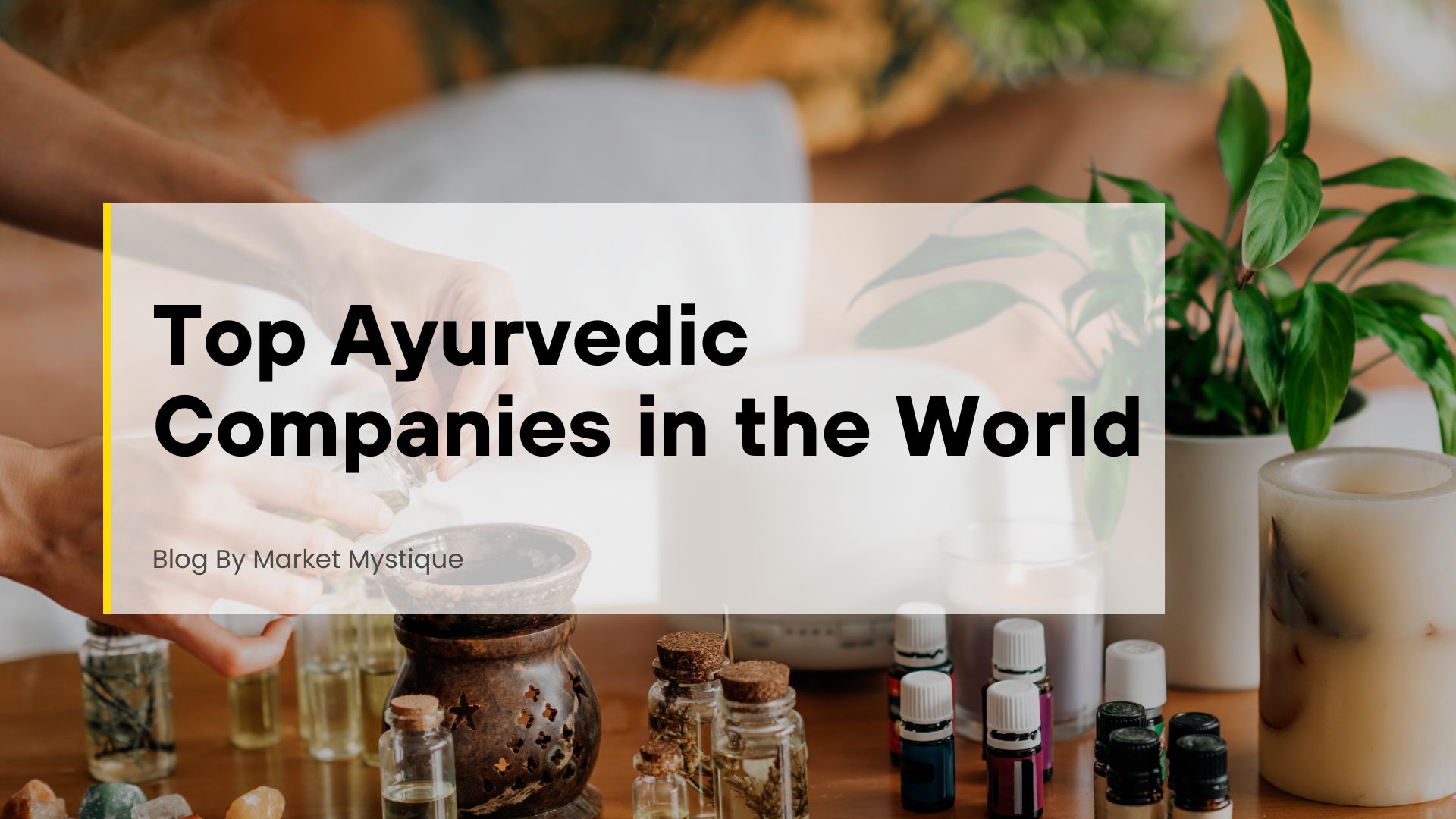 Ayurvedic Companies in the World