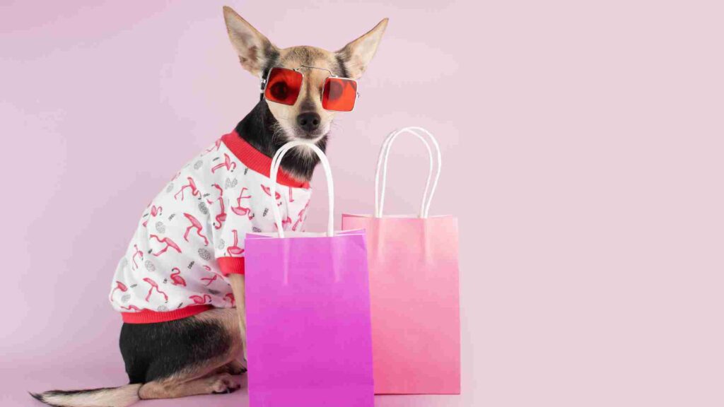 Clothes and Accessories for Pets - Clothing Business Ideas
