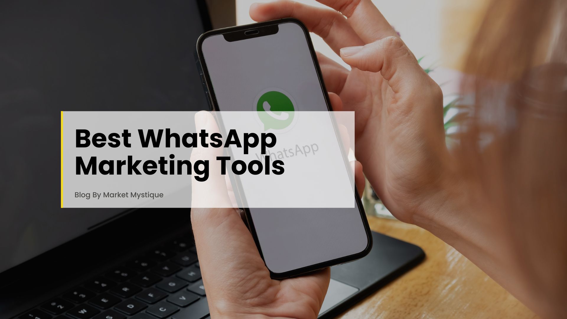 Whatsapp marketing tools