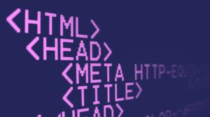 Introduction to HTML Class 7 Questions and Answers | Download Now ...