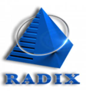 Radixweb - Top IT companies in Gujarat