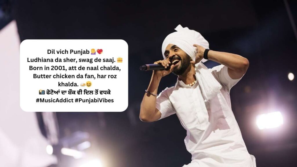 Instagram Bio in Punjabi