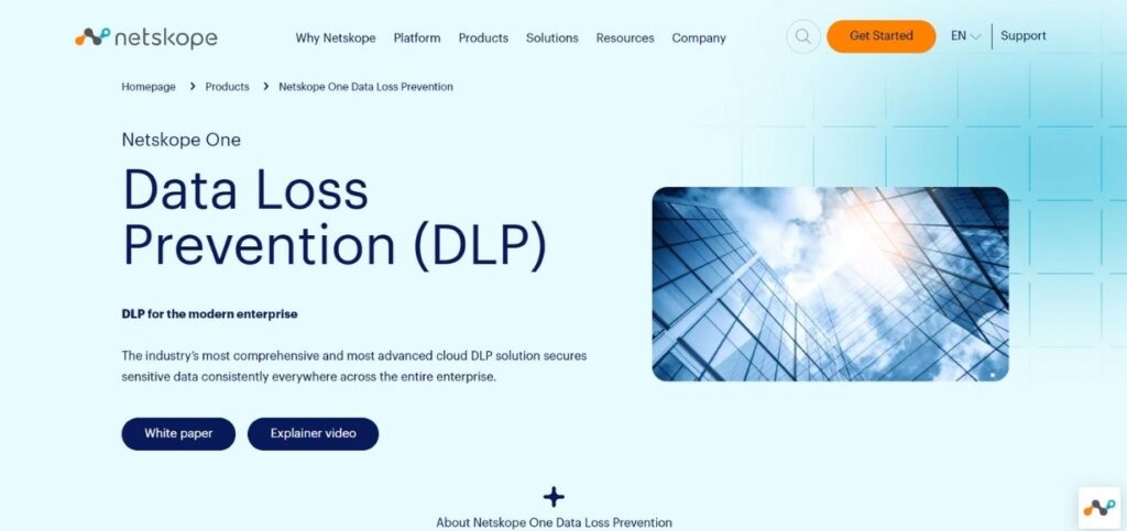 Data Loss Prevention Software