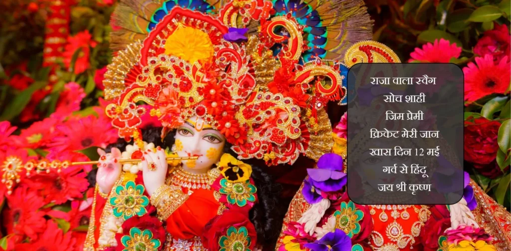 Krishna Bio for Instagram