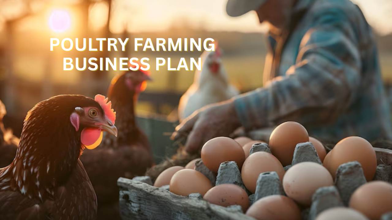 Poultry Farming Business Plan