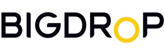 Web Development Company in the USA