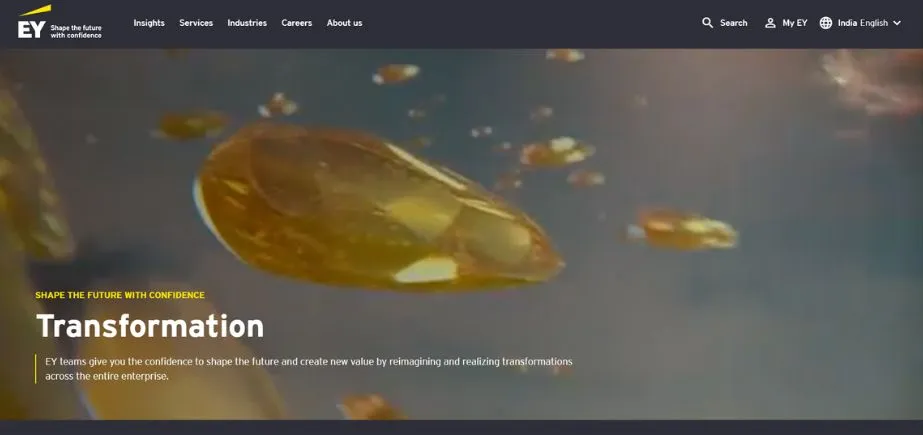 EY (Ernst Young) - top accounting firms in the USA