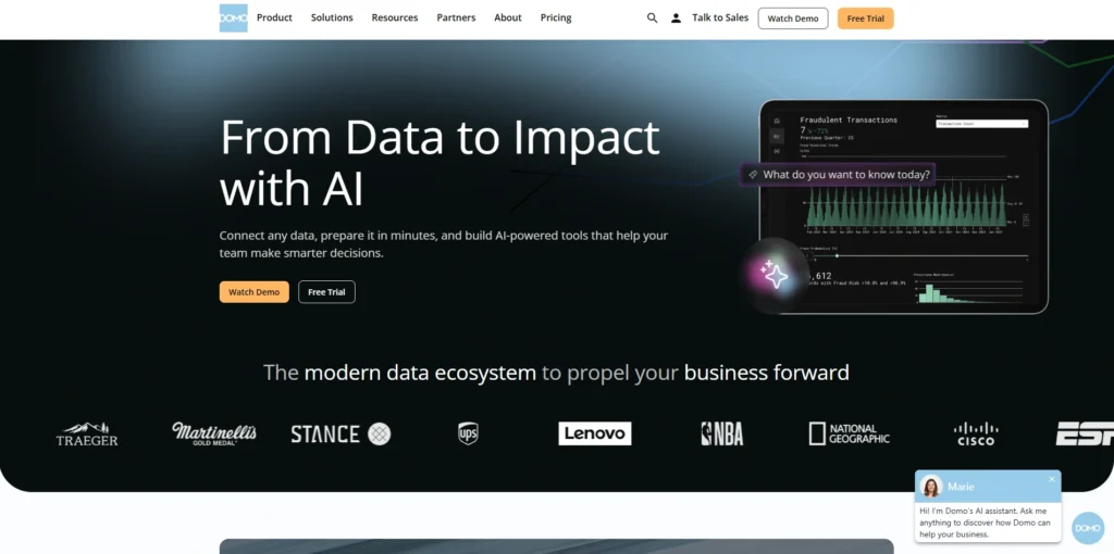 Data Analytics Software -Domo