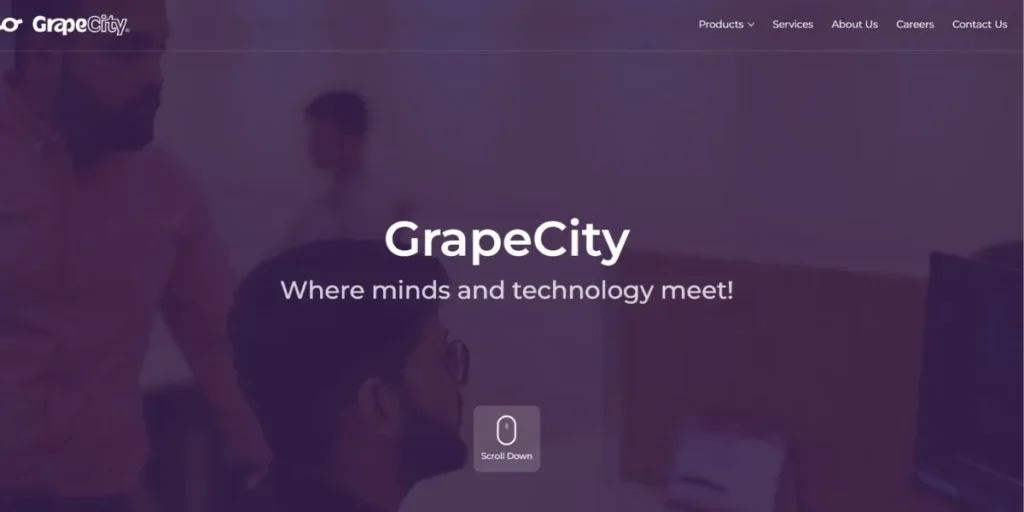 IT Companies in Noida