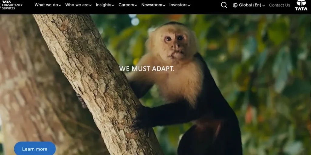 IT Companies in Noida