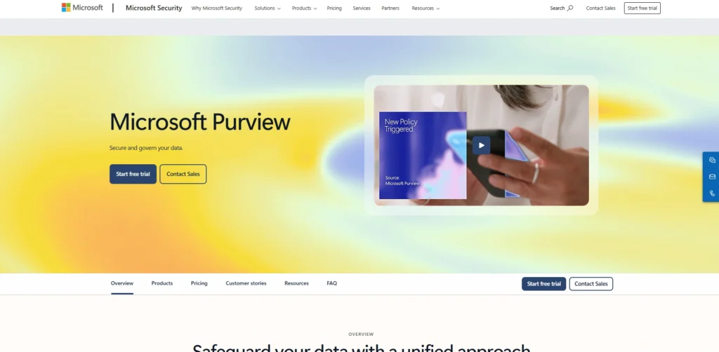 Data Lineage Software-Microsoft Purview