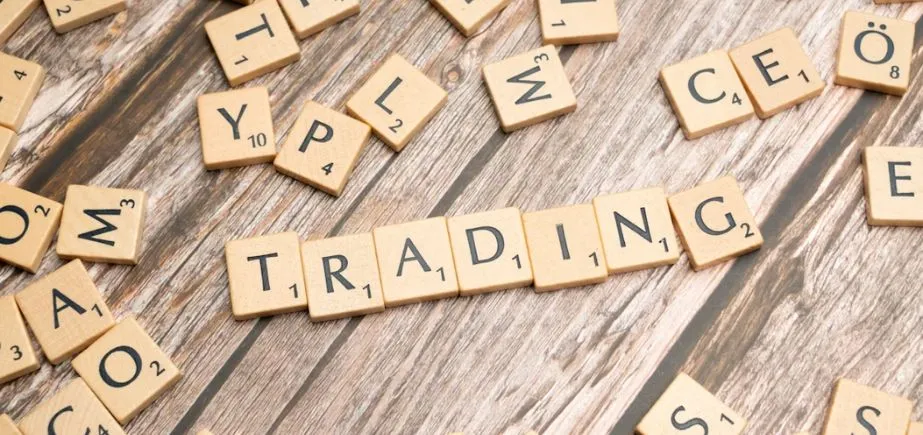 Choose the Right AI Partner