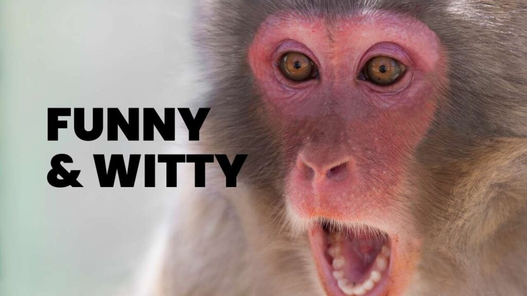 Funny & Witty