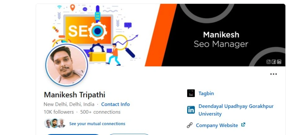 SEO Experts in India (9)